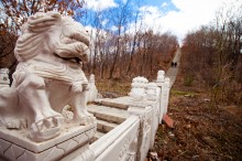 Dunhua Temple Stairs Lion
