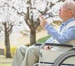 Man in wheelchair with care worker and cherry blossoms behind him.