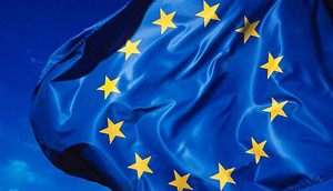 Undergraduate Program in European Studies- Photo of EU Flag (Photo Credit: Rock Cohen)