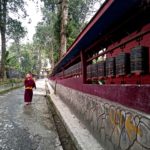 Monk walking along a red wall and trees in daytime