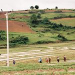 People walking across a green field