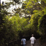 A man and woman are seen from behind walking along a paved path surrounded by trees.