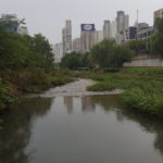 tall buildings of a city in the background, a river and trees in the foreground.
