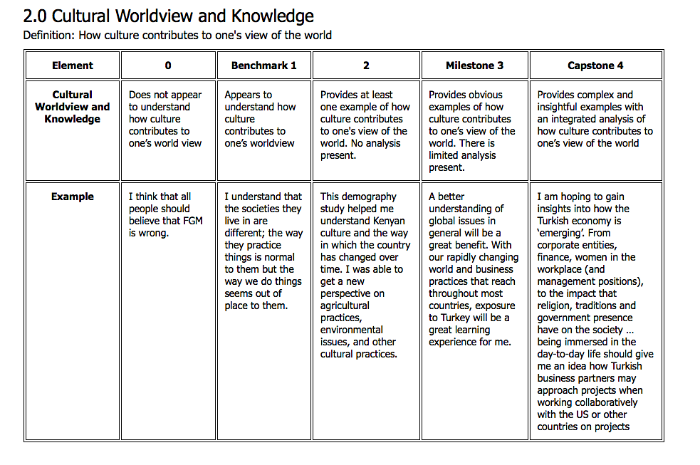  Source: International Cross-Cultural Experiential Learning Evaluation Toolkit (2015). Assessment Rubric . 