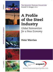 Book cover for A Profile of the Steel Industry