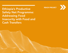 Ethiopia’s Productive Safety Net Programme: Addressing Food Insecurity with Food and Cash Transfers