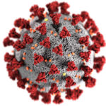 A microscopic image of a coronavirus