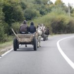 the Roma people driving a horse